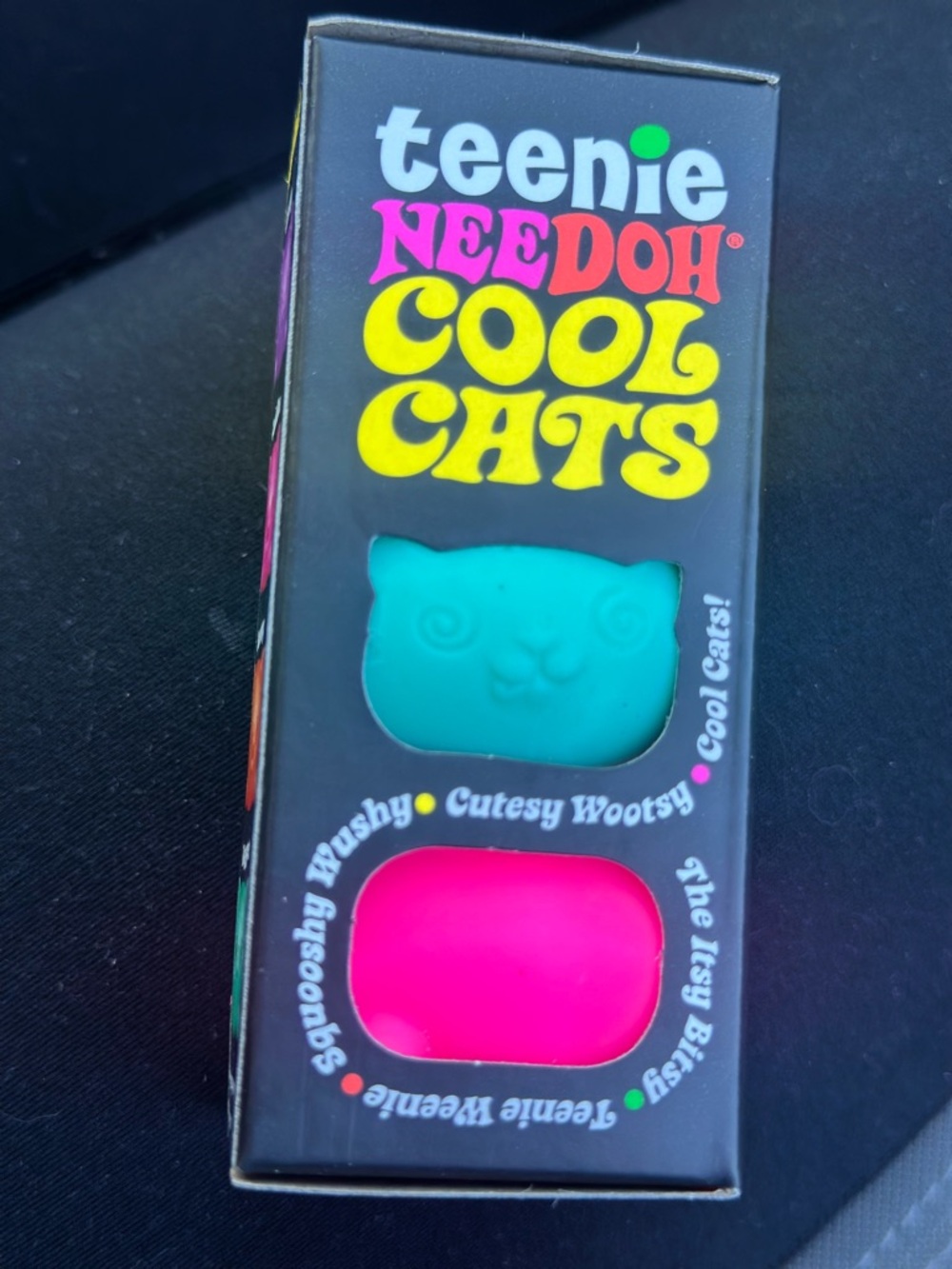 Cool Cats Kids Learning Toy